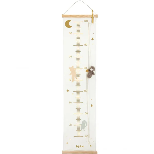 My Height Chart<Kaloo Fashion